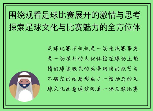 围绕观看足球比赛展开的激情与思考探索足球文化与比赛魅力的全方位体验