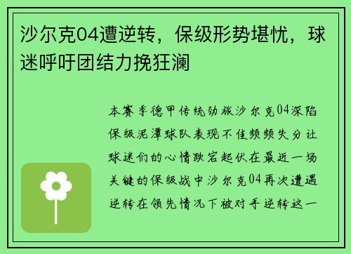 沙尔克04遭逆转，保级形势堪忧，球迷呼吁团结力挽狂澜